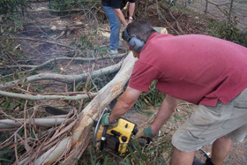 wood-cutting
